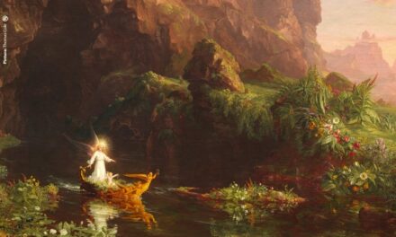 Compass of the well-being