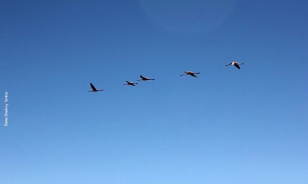 5 ponderations among Spiritual Friends