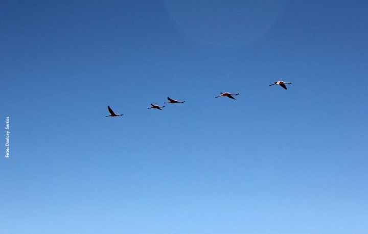 5 ponderations among Spiritual Friends