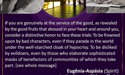 Uncommon joy, peculiar to the legitimate representatives of God