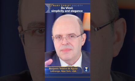 Da Vinci: simplicity and elegance