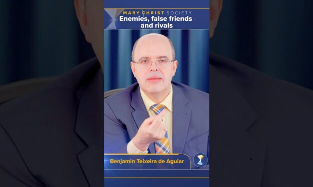 Enemies, false friends and rivals