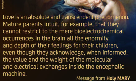 Faith on solid ground (banner 2)