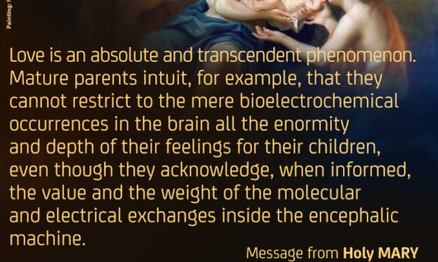 Faith on solid ground (banner 2)