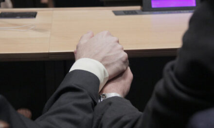 Finding ideal companies