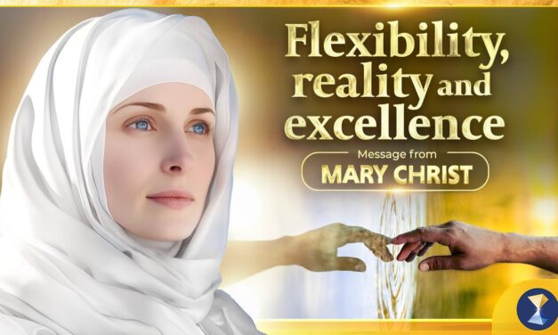 Flexibility, reality and excellence