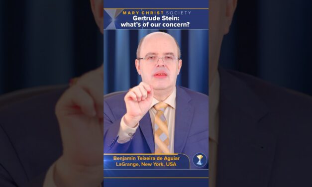 Gertrude Stein: what’s of our concern?