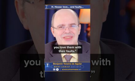 H. Hesse: love… and faults…