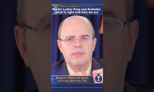 Martin Luther King and Aristotle: what is right and who we are