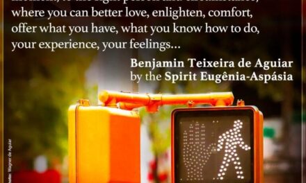 The miracle of every day