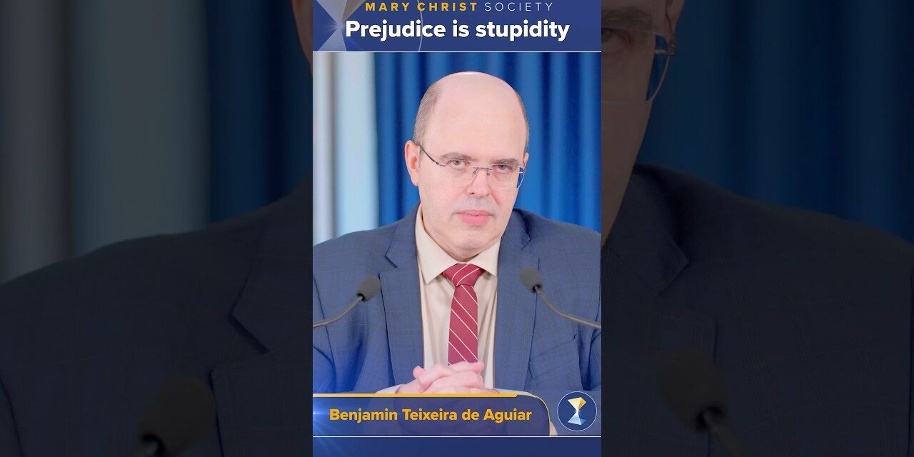 Prejudice is stupidity