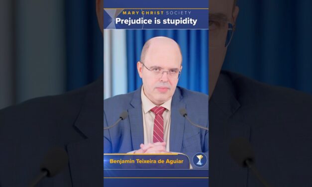 Prejudice is stupidity