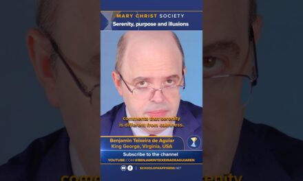 Serenity, purpose and illusions