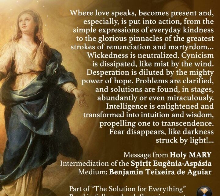 The Solution for Everything (banner 1)