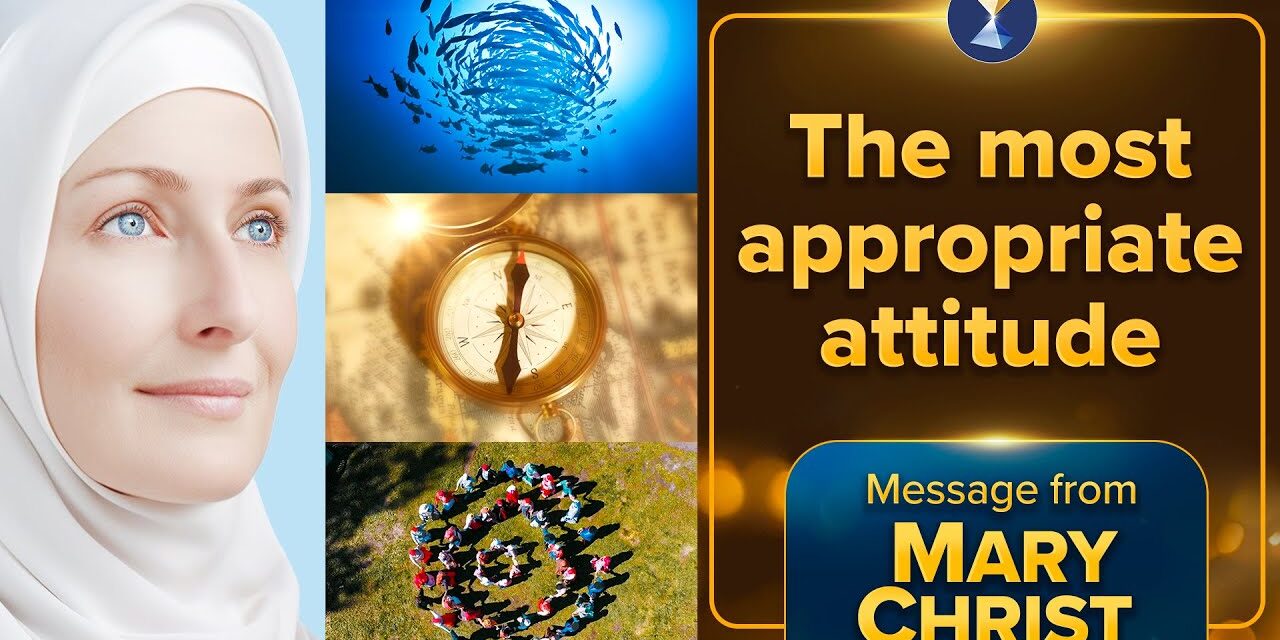 The most appropriate attitude
