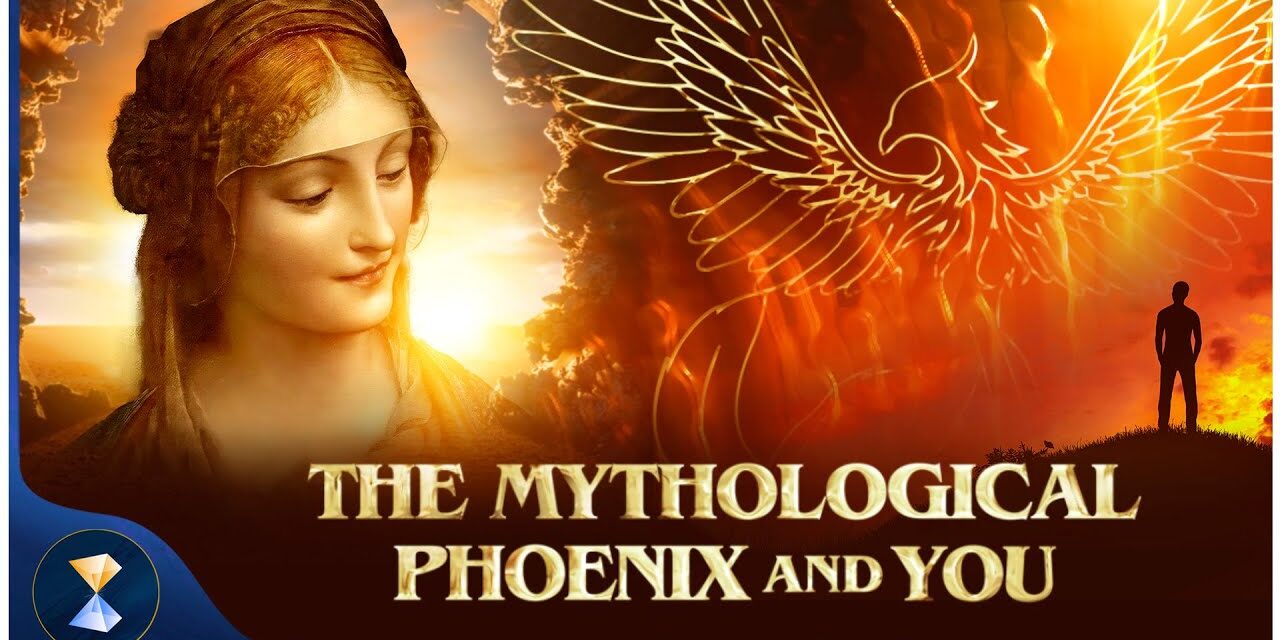 The mythological phoenix and you