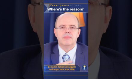 Where’s the reason?