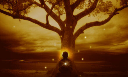 Wisdom and intuition