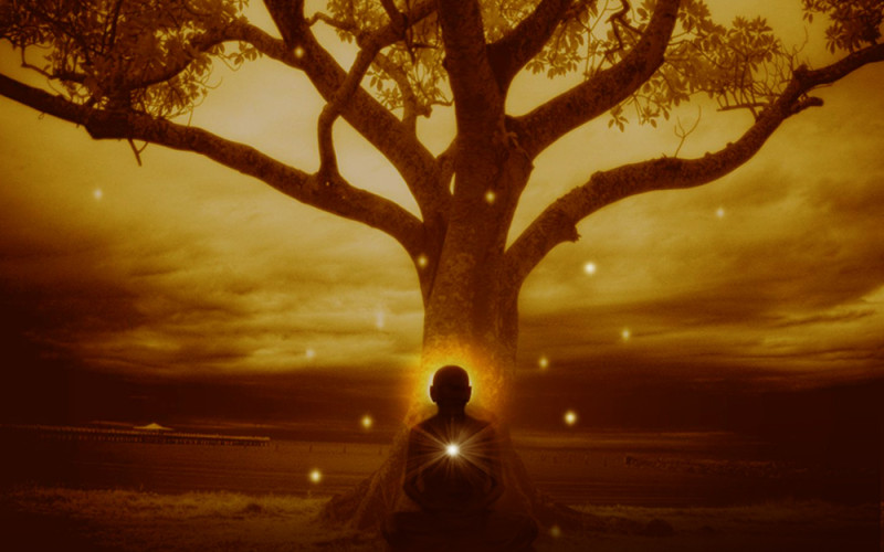 Wisdom and intuition