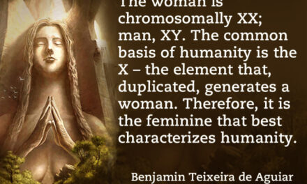 Fundamental Chromosome