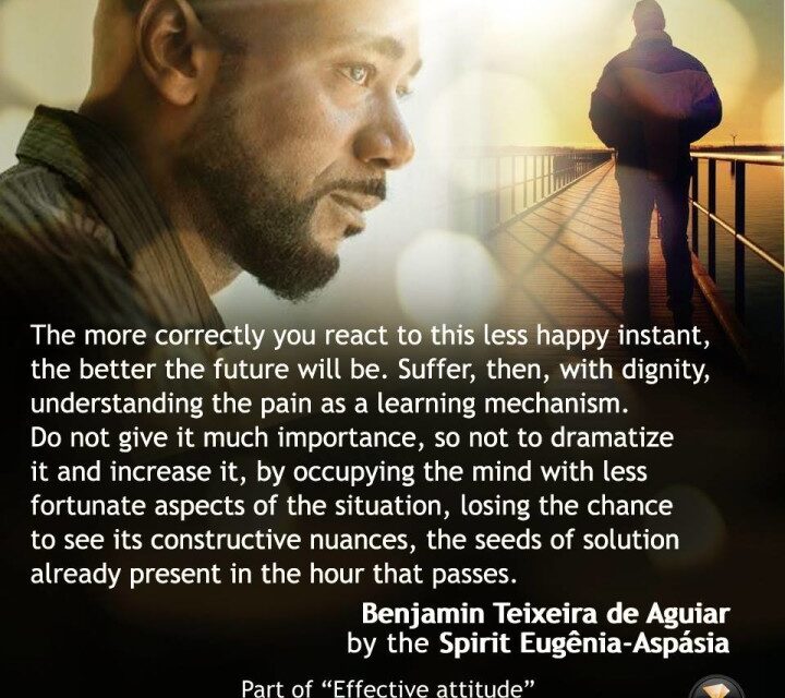 Effective attitude (banner 1)