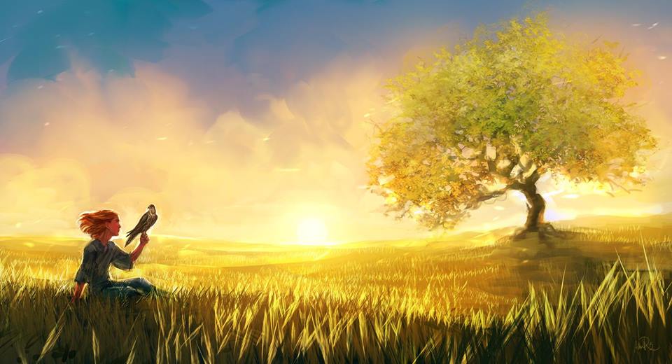 How to keep up motivation?