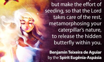 Rough stones (banner 4)