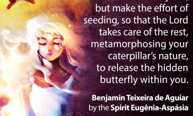 Rough stones (banner 4)